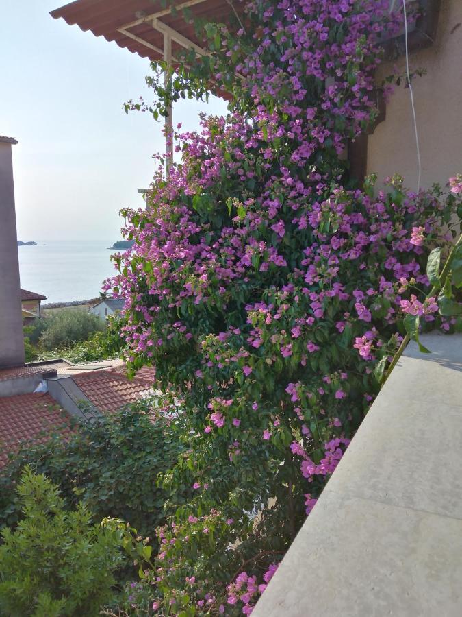 Aparthotel Luna Tsuki Seven Rovinj Exterior foto