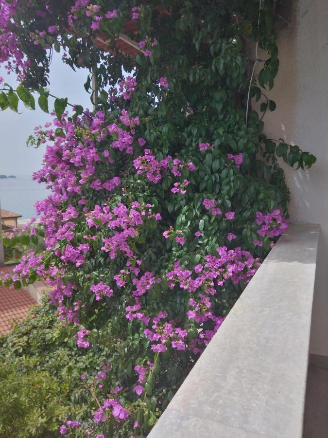 Aparthotel Luna Tsuki Seven Rovinj Exterior foto