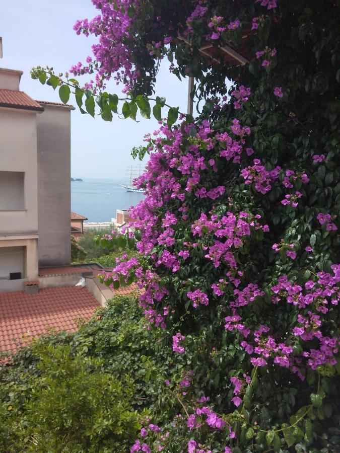 Aparthotel Luna Tsuki Seven Rovinj Exterior foto